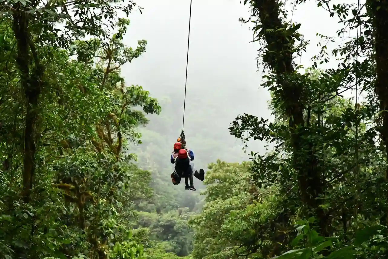 Ziplining In Munnar: Complete Guide to Rides, Prices, Timings & Booking
